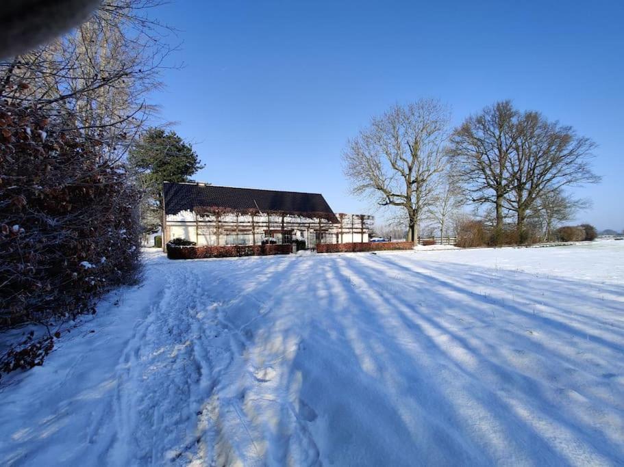 הולסביק The Horst Cottage מראה חיצוני תמונה